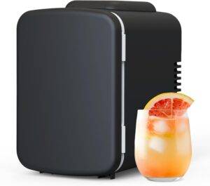 Portable Mini Fridge